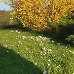 Chez Grand Maman Ferienhaus *