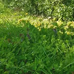 Ferienhaus Chez Grand Maman *