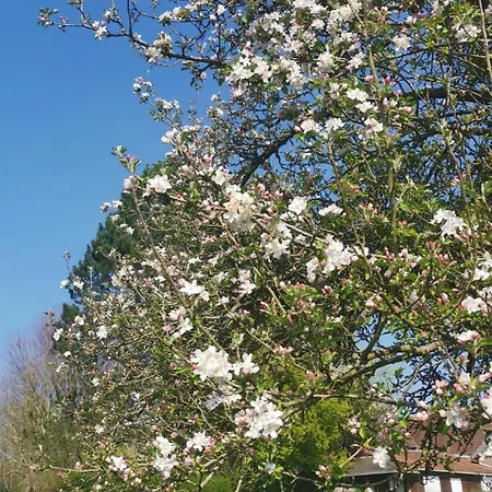 Ferienhaus Chez Grand Maman