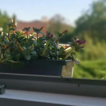 度假居 Chez Grand Maman Coucy-le-Château-Auffrique